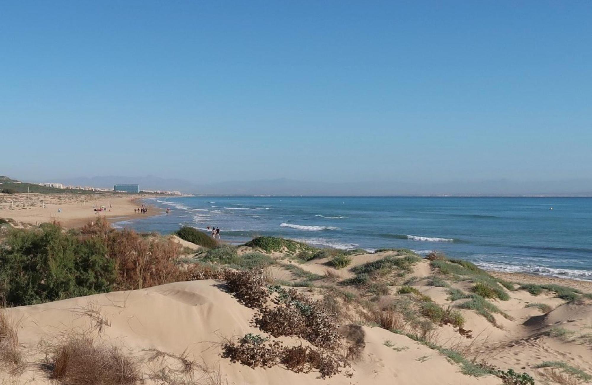 Apartamento Emilia De La Playa